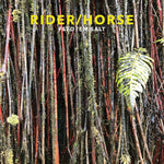 Rider/Horse – Feed 'Em Salt