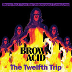 V/A - Brown Acid: The Twelfth Trip LP