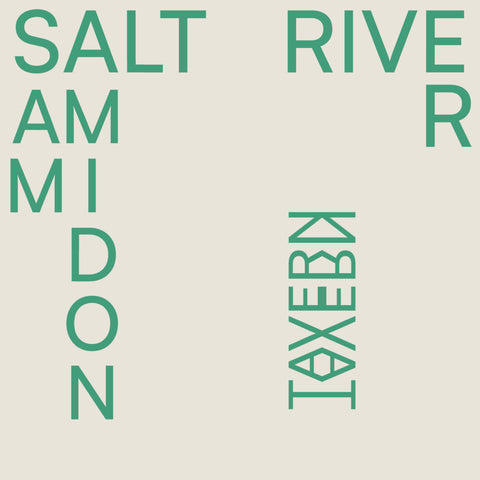 Sam Amidon - Salt River LP